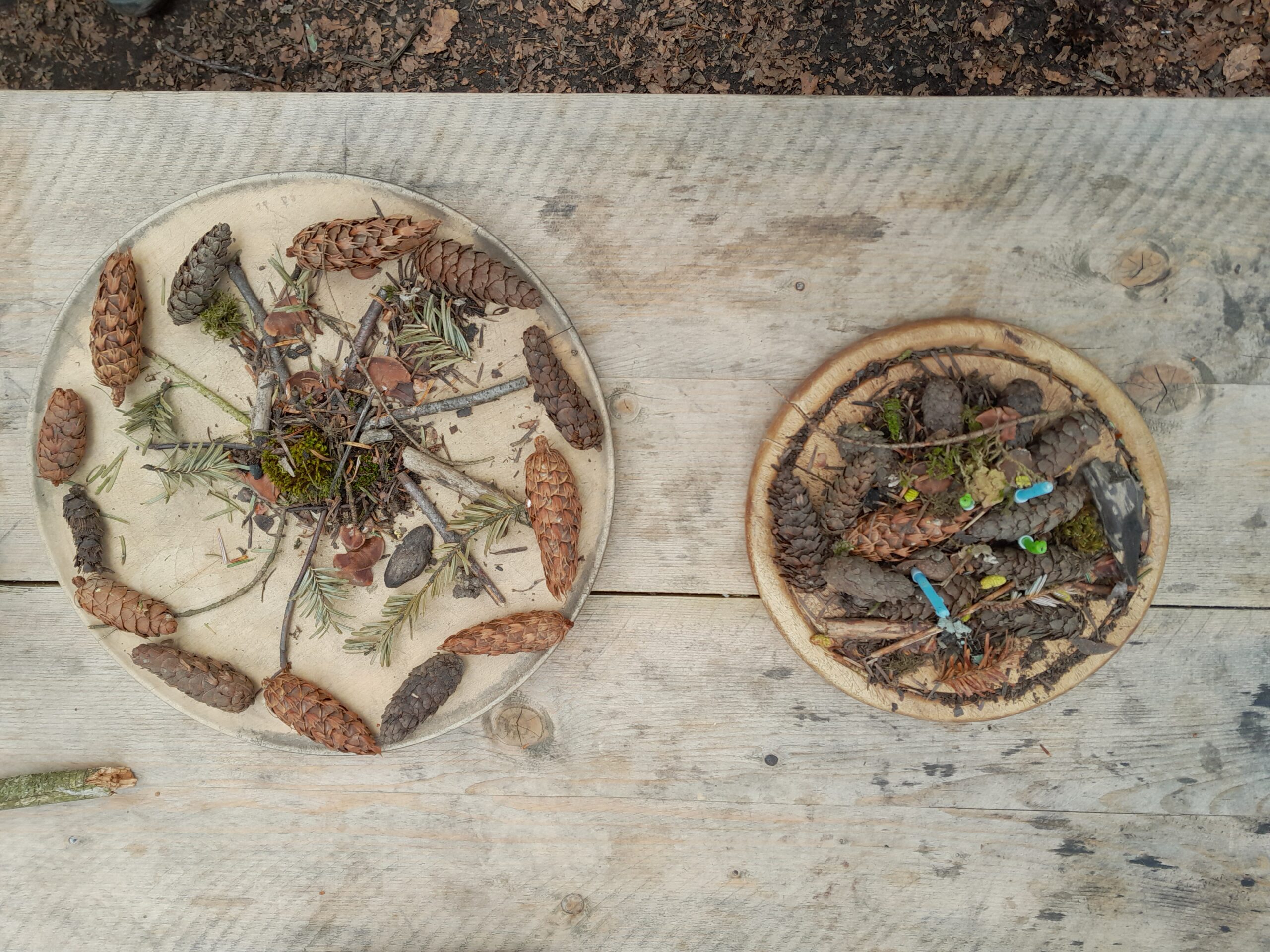 assiettes-nature